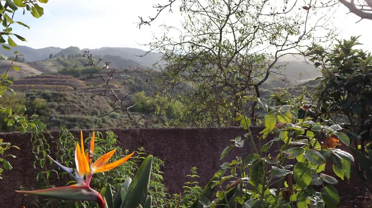 Lägenhet Casa Rural En San Mateo Las Palmas de Gran Canaria