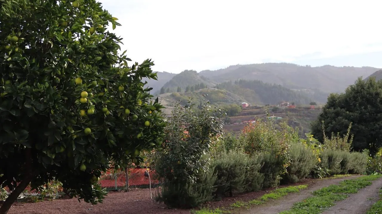 Casa Rural En San Mateo Las Palmas de Gran Canaria Lägenhet