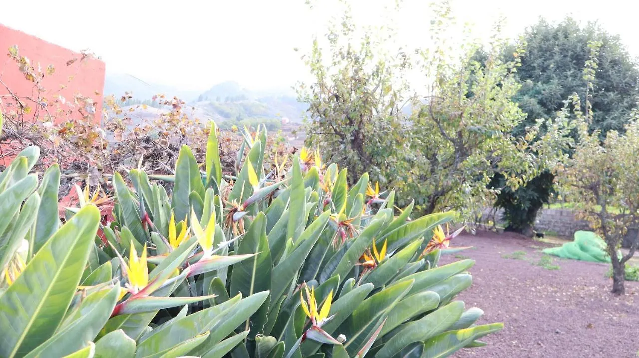 Casa Rural En San Mateo Las Palmas de Gran Canaria