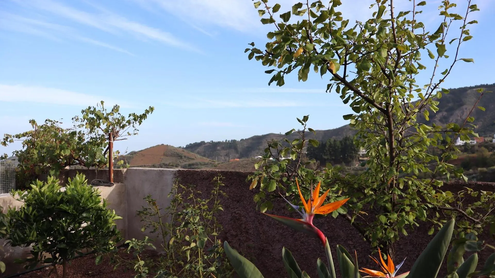 Casa Rural En San Mateo Las Palmas de Gran Canaria Lägenhet