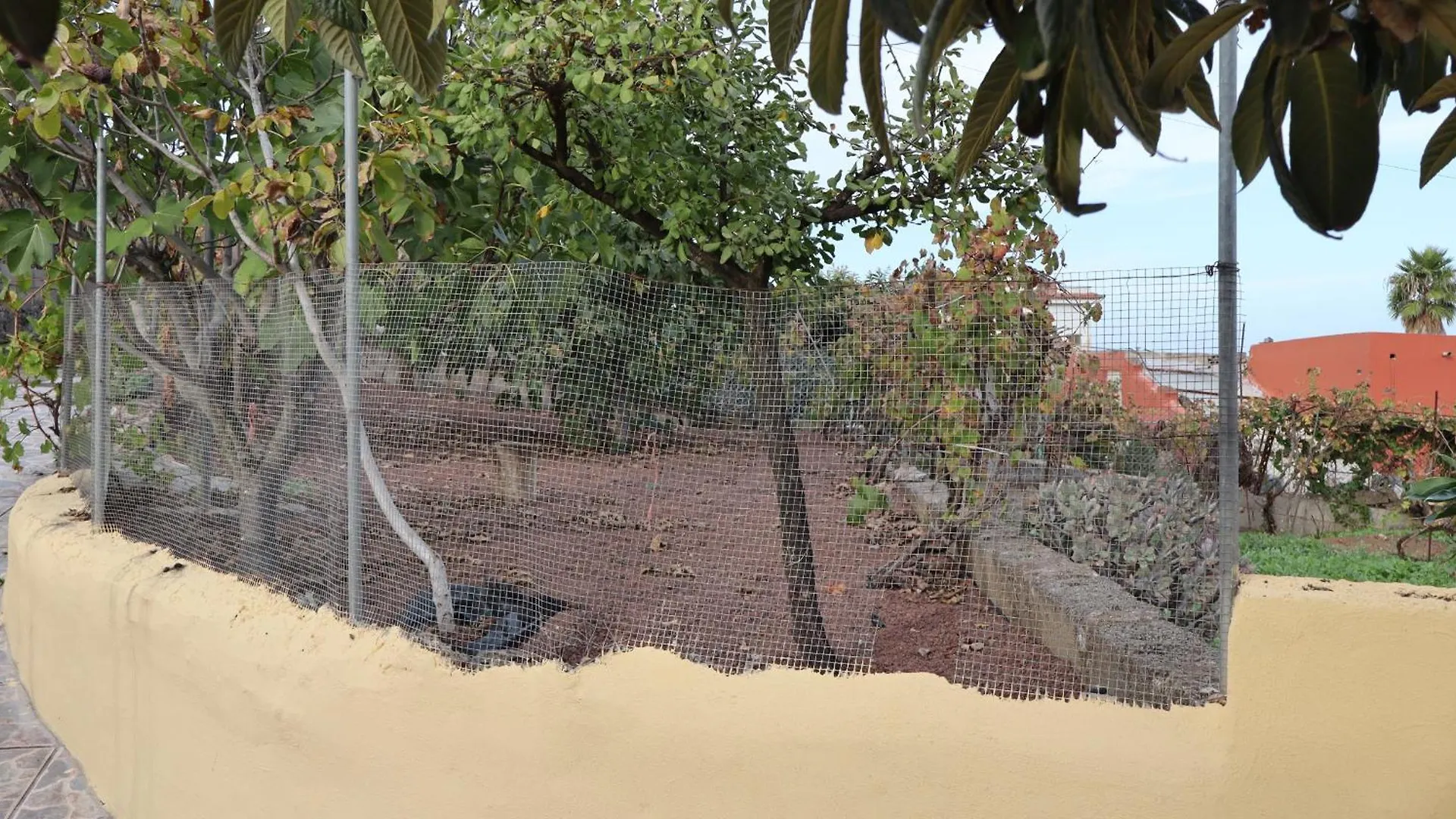 Casa Rural En San Mateo Las Palmas de Gran Canaria Lägenhet